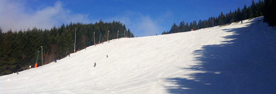 sliderbild_vogelskopf_6